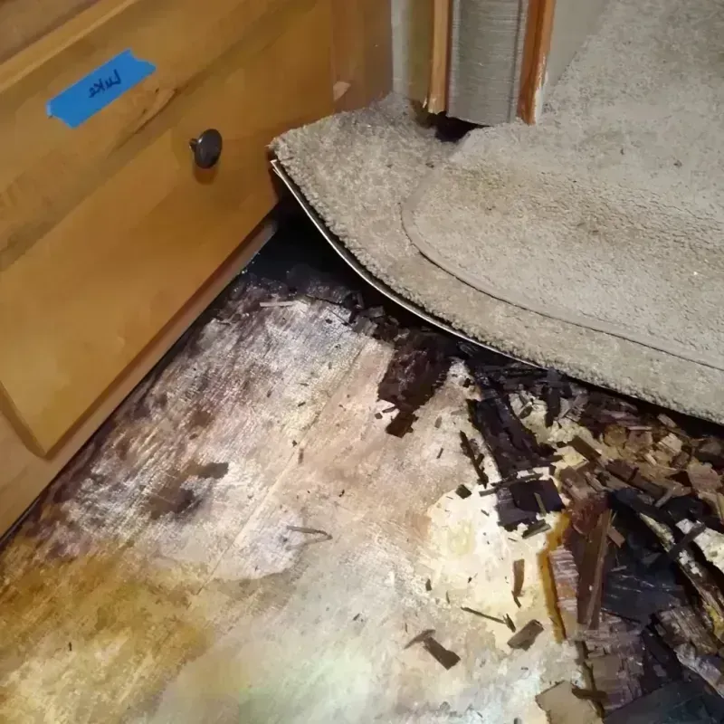 Best Wood Floor Water Damage Service in Divide County, ND